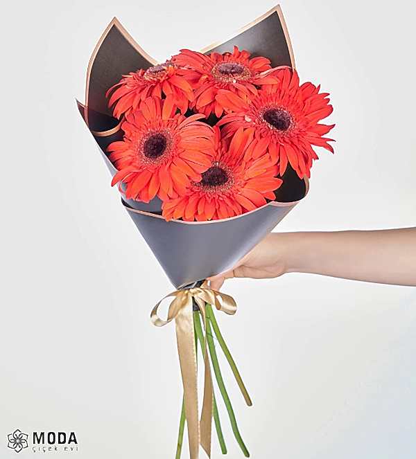Kırmızı Gerbera Çiçek Buketi Kırmızı Gerbera Çiçek Buketi