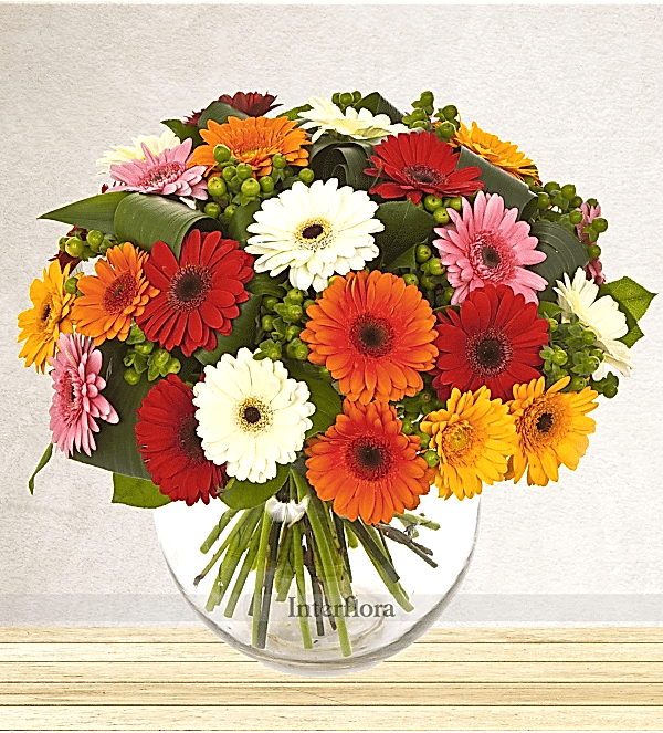 KARIŞIK RENKLİ GERBERA ÇİÇEKLERİ KARIŞIK RENKLİ GERBERA ÇİÇEKLERİ